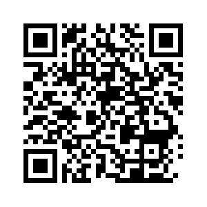 paypal QR code for donations